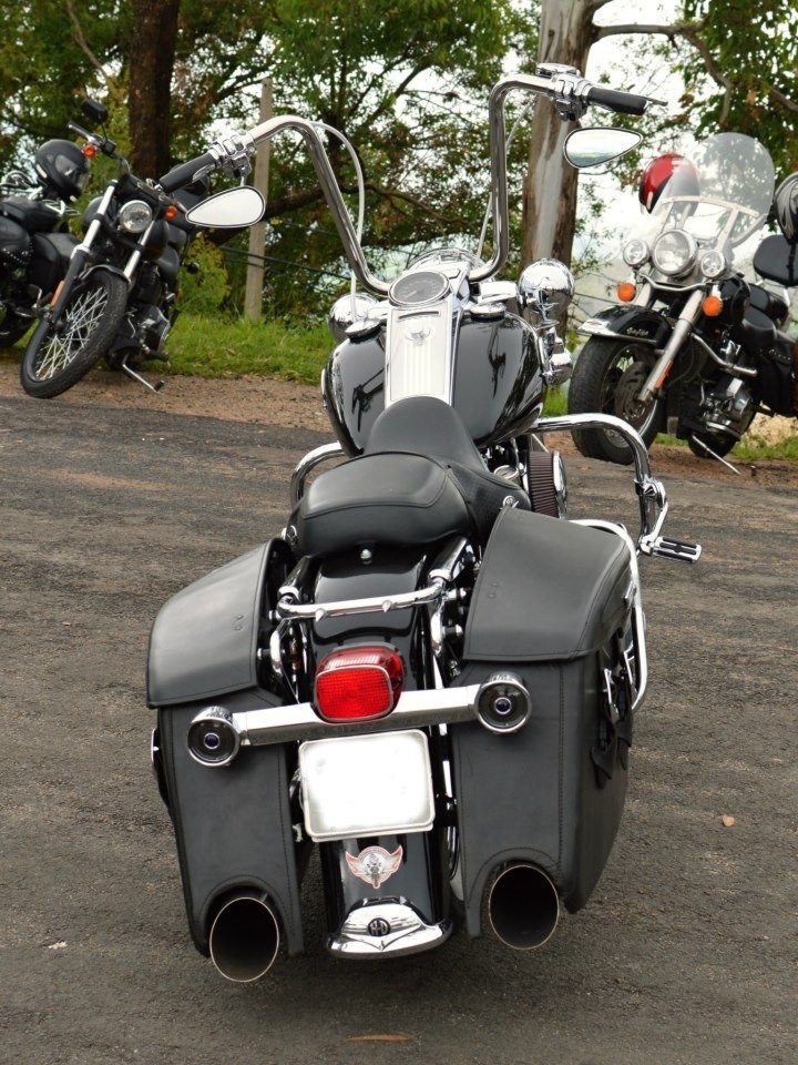 Road King Martin 2.jpeg